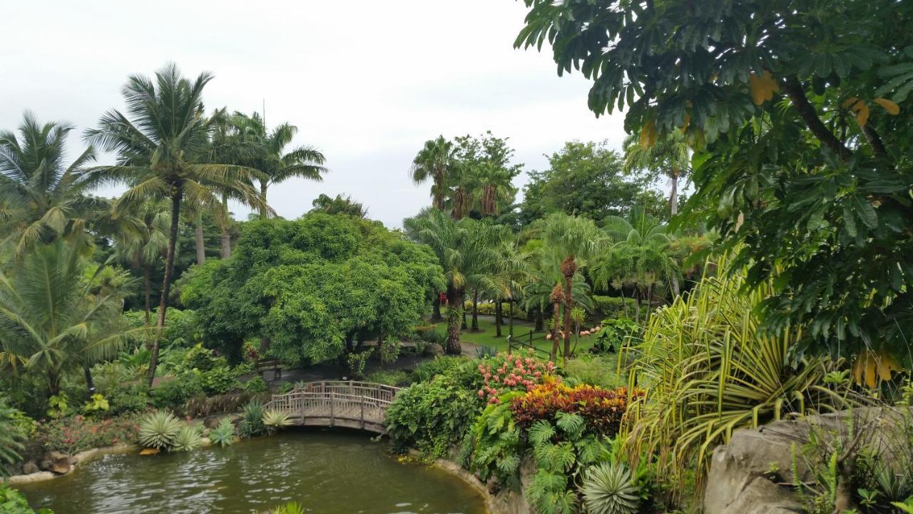 Villa Du Jardin Botanique, Ex. Propriete Coluche Deshaies Eksteriør bilde