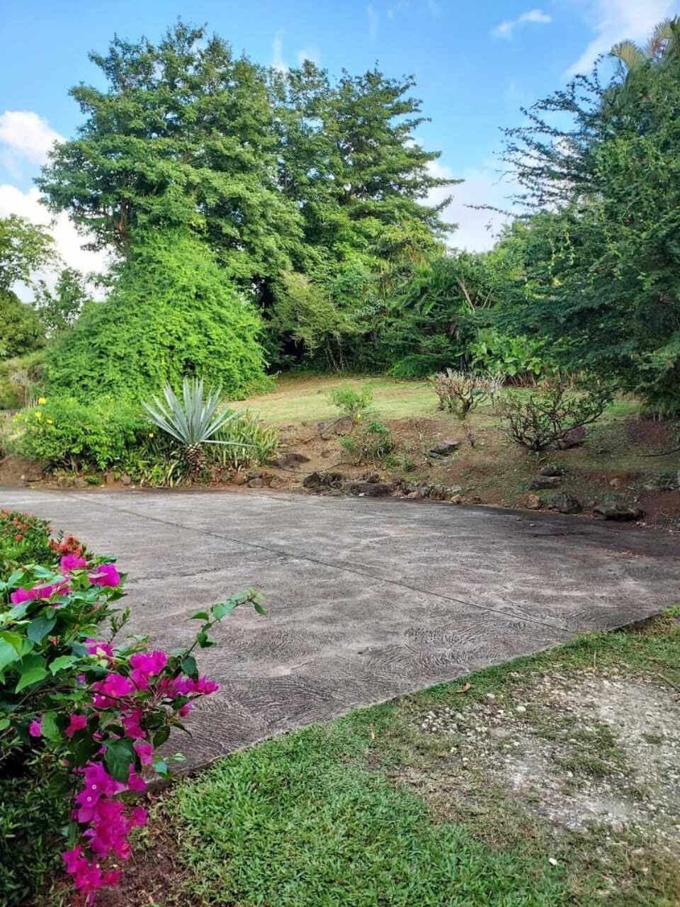 Villa Du Jardin Botanique, Ex. Propriete Coluche Deshaies Eksteriør bilde